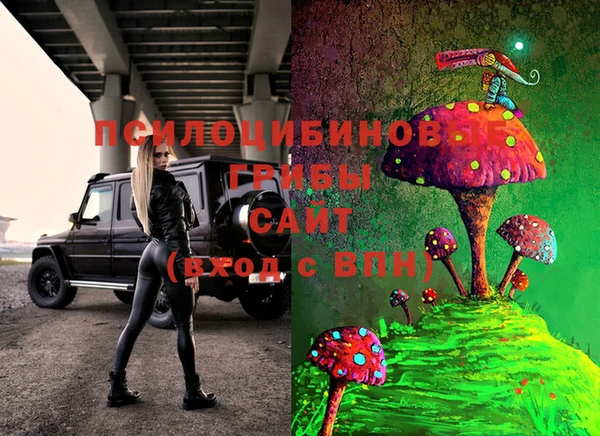 таблы Алексеевка