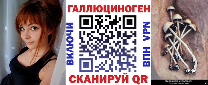 Псилоцибиновые грибы прущие грибы  Пошехонье 