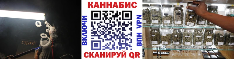 Бошки Шишки VHQ  Пошехонье 